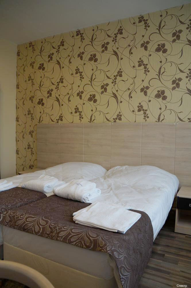 Гостиница Спектр Клин-203