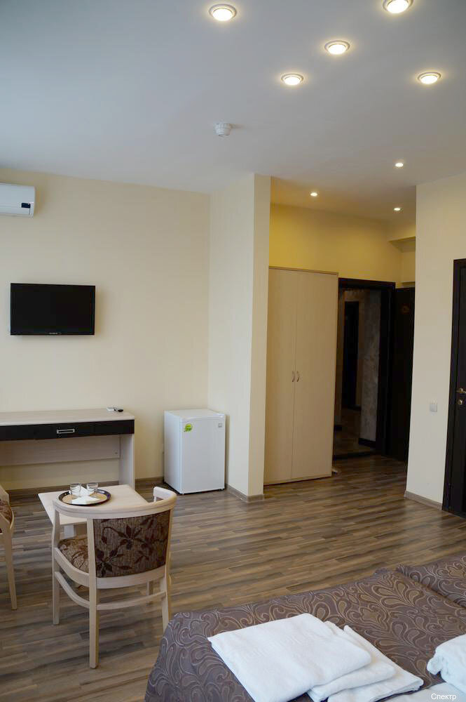 Гостиница Спектр Клин-208