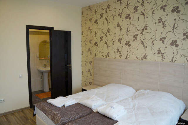 Гостиница Спектр Клин-242