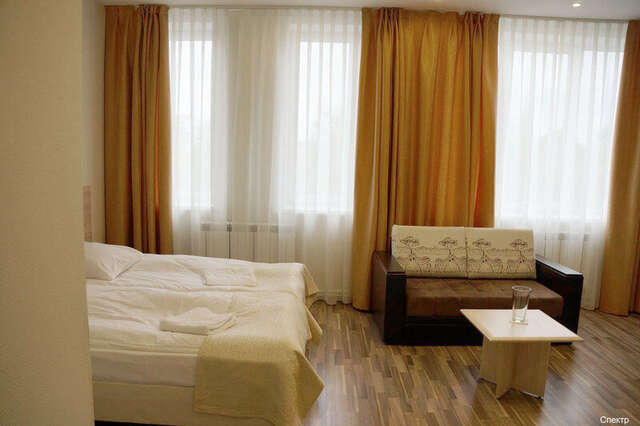 Гостиница Спектр Клин-232