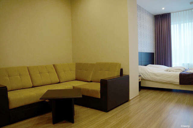 Гостиница Спектр Клин-46