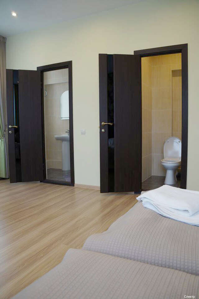 Гостиница Спектр Клин-218