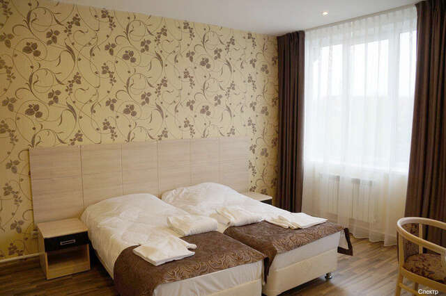 Гостиница Спектр Клин-234