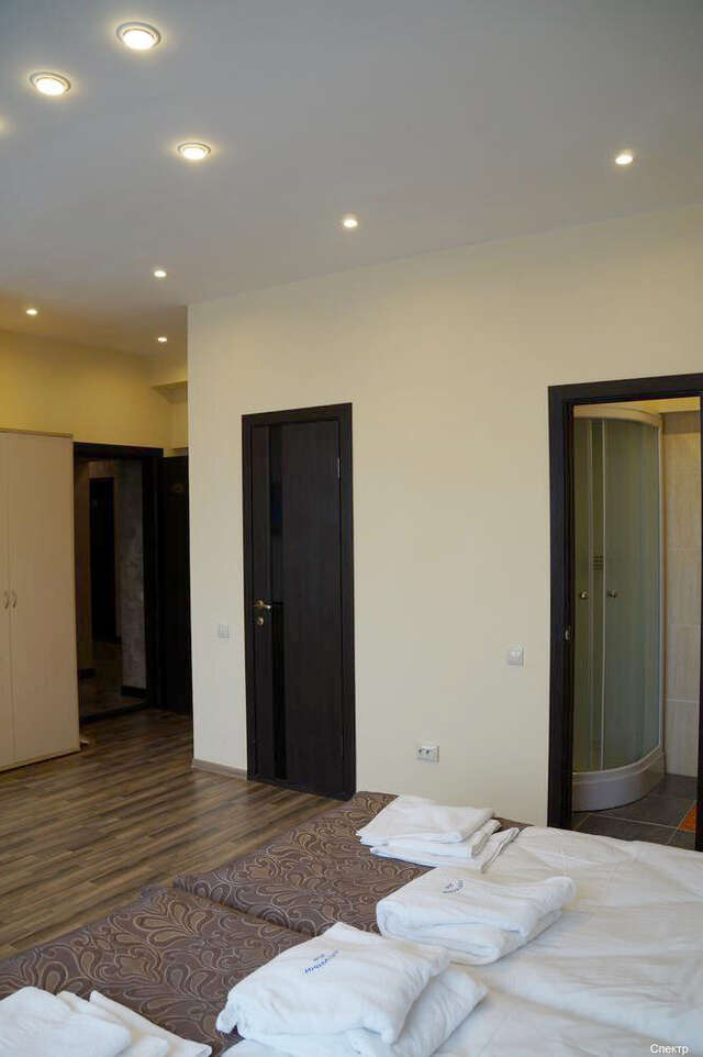 Гостиница Спектр Клин-249