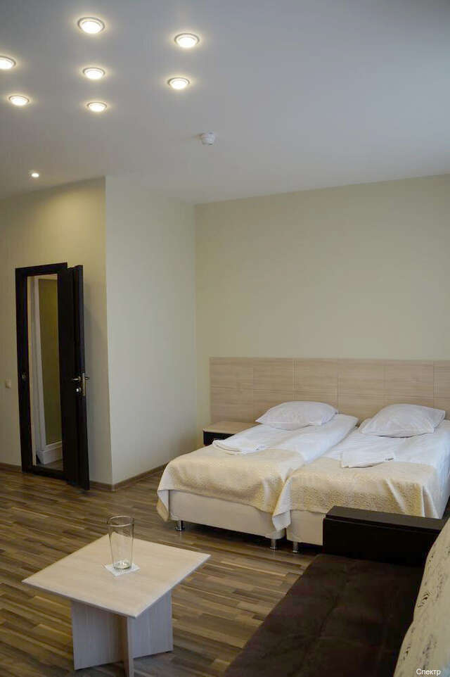 Гостиница Спектр Клин-196