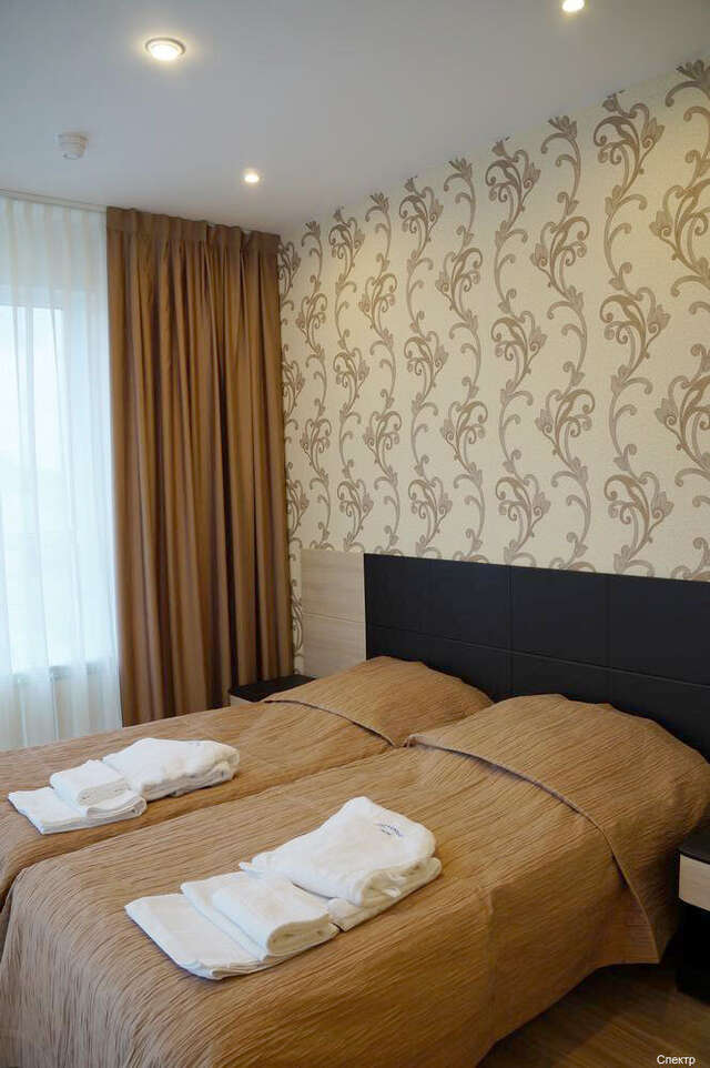 Гостиница Спектр Клин-225