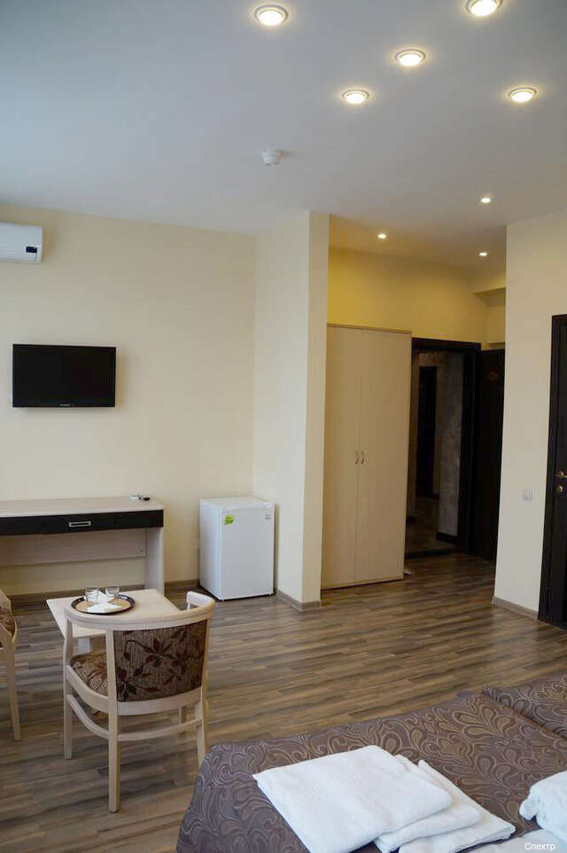 Гостиница Спектр Клин-207